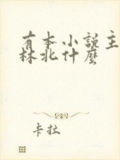 有本小说主角叫林北什么