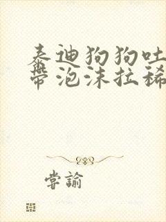 泰迪狗狗吐黄水带泡沫拉稀