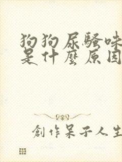 狗狗尿骚味很重是什么原因封面