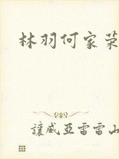 林羽何家荣江颜