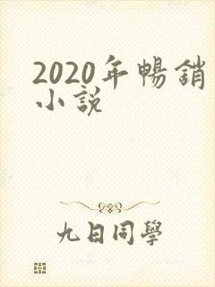 2020年畅销小说