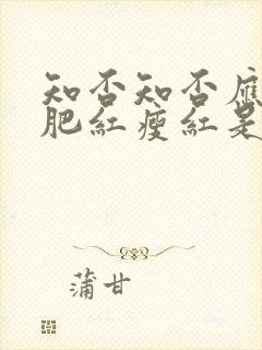 知否知否应是绿肥红瘦红是什么花