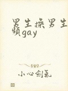 男生操男生的视频gay