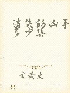 消失的凶手一共多少集