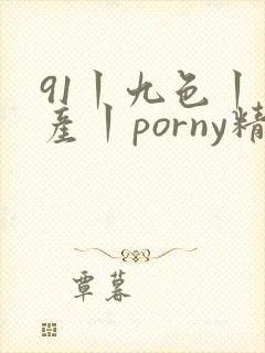 91丨九色丨国产丨porny精品