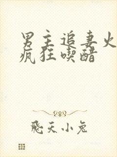 男主追妻火葬场疯狂吃醋