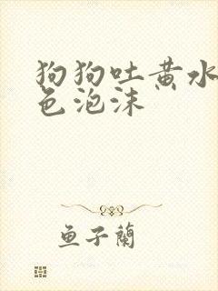 狗狗吐黄水带白色泡沫