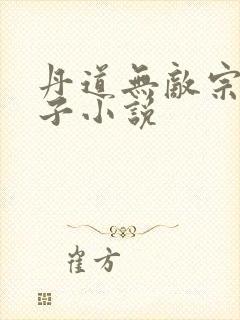 丹道无敌宗门仙子小说封面