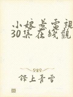 小娘惹电视剧第30集在线观看免费