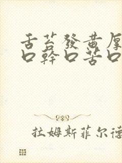 舌苔发黄厚腻 口干口苦口臭