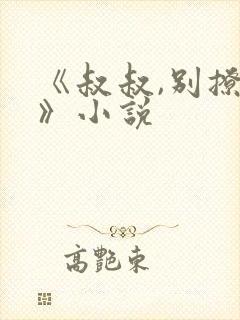 《叔叔,别撩我》小说