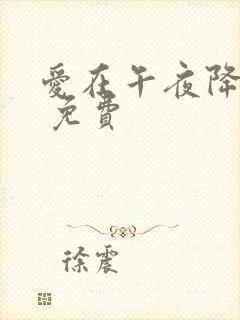 爱在午夜降临前 免费封面