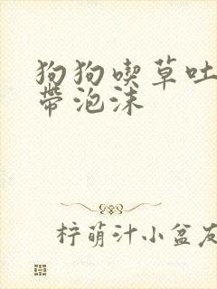 狗狗吃草吐黄水带泡沫