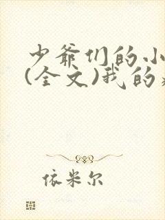 少爷们的小男仆(全文)我的病弱老婆