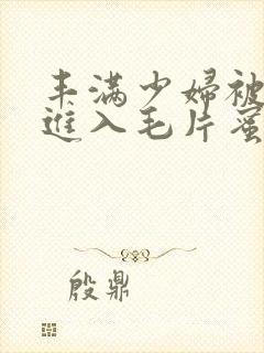 丰满少妇被猛烈进入毛片蜜桃