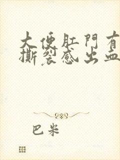 大便肛门有时有撕裂感出血封面