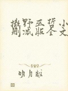 撒野巫哲小说无删减版全文免费阅读