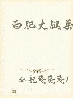 白肥大腿岳封面