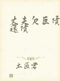 丈夫欠巨债妻子还债封面