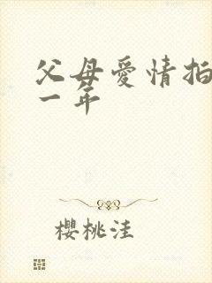 父母爱情拍摄哪一年封面