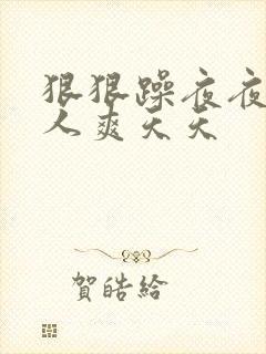 狠狠躁夜夜躁人人爽天天