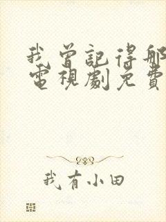 我曾记得那男孩电视剧免费看