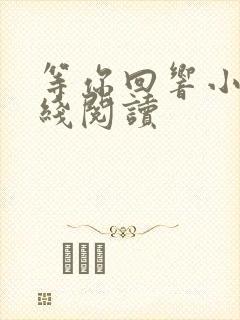 等你回响小说在线阅读