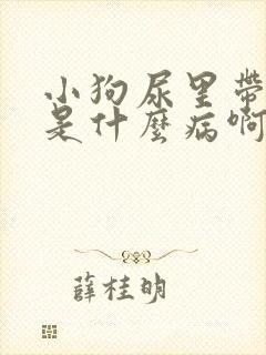 小狗尿里带点血是什么病啊