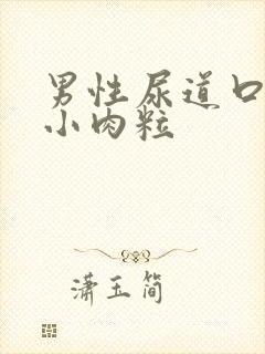 男性尿道口内长小肉粒