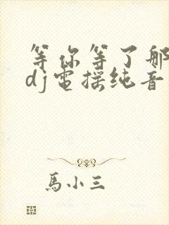 等你等了那么久dj电摇纯音乐