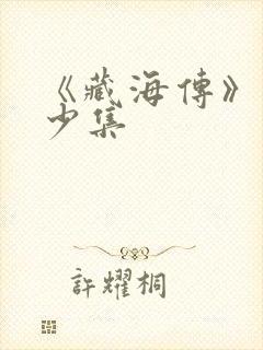 《藏海传》共多少集