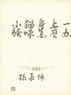 小猫身上一股尿骚味怎么办封面