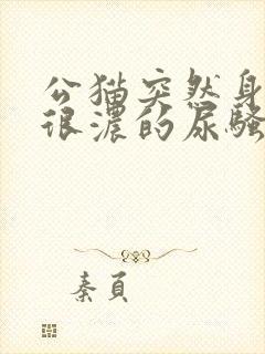 公猫突然身上有很浓的尿骚味