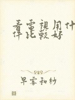 看电视用什么软件比较好