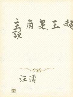 主角是王超的小说