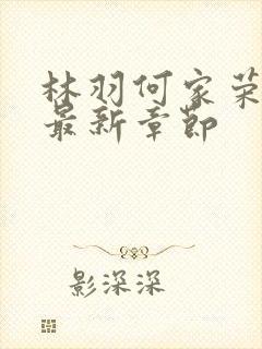 林羽何家荣江颜最新章节