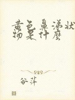 黄色鼻涕状分泌物是什么