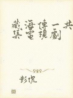 藏海传一共多少集电视剧封面