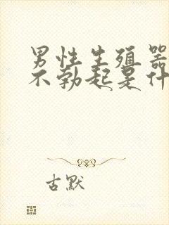 男性生殖器早上不勃起是什么原因封面