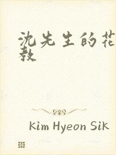 沈先生的花式调教