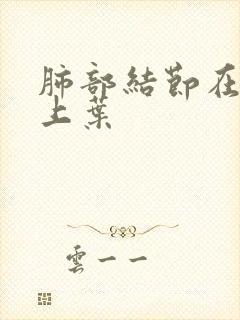 肺部结节在左肺上叶