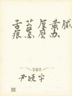 舌苔厚黄腻有齿痕怎么办