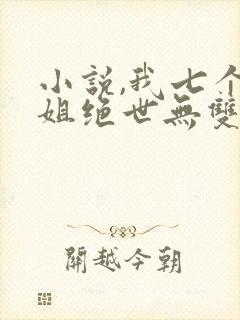 小说,我七个姐姐绝世无双
