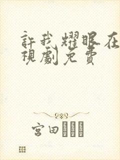 许我耀眼在线电视剧免费封面