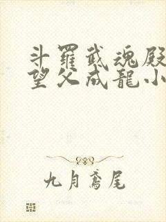 斗罗武魂殿圣子望父成龙小说