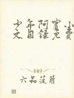 少年阿宾小说全文目录免费阅读无弹窗