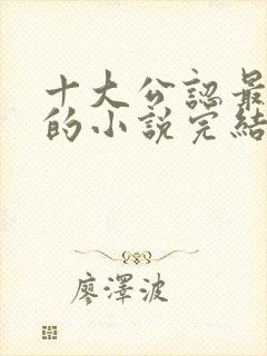 十大公认最好看的小说完结版封面