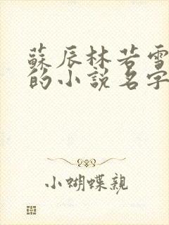 苏辰林若雪夏岚的小说名字
