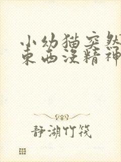 小幼猫突然不吃东西没精神只睡觉