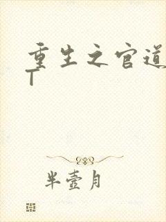 重生之官道TXT封面